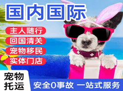南昌机场快运国际宠物托运 【国